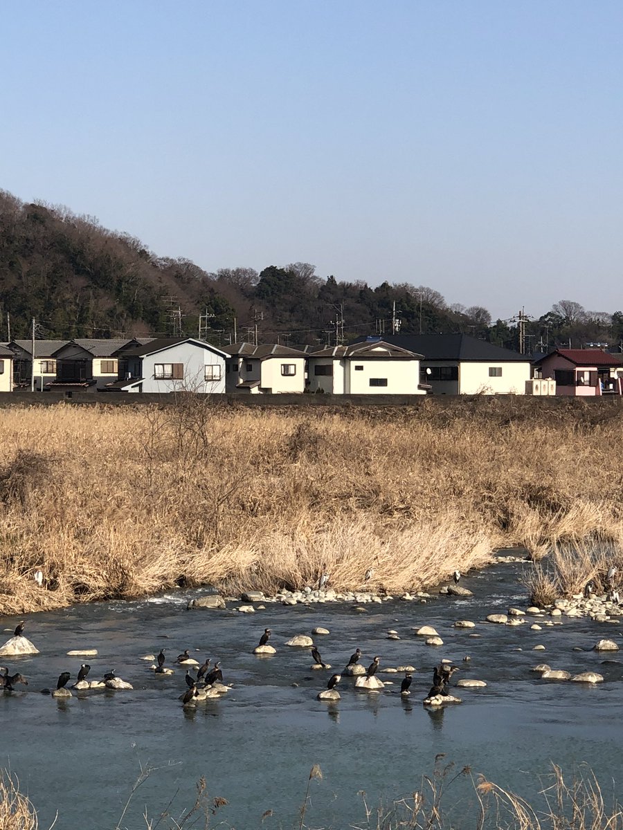 バードサンクチュアリ