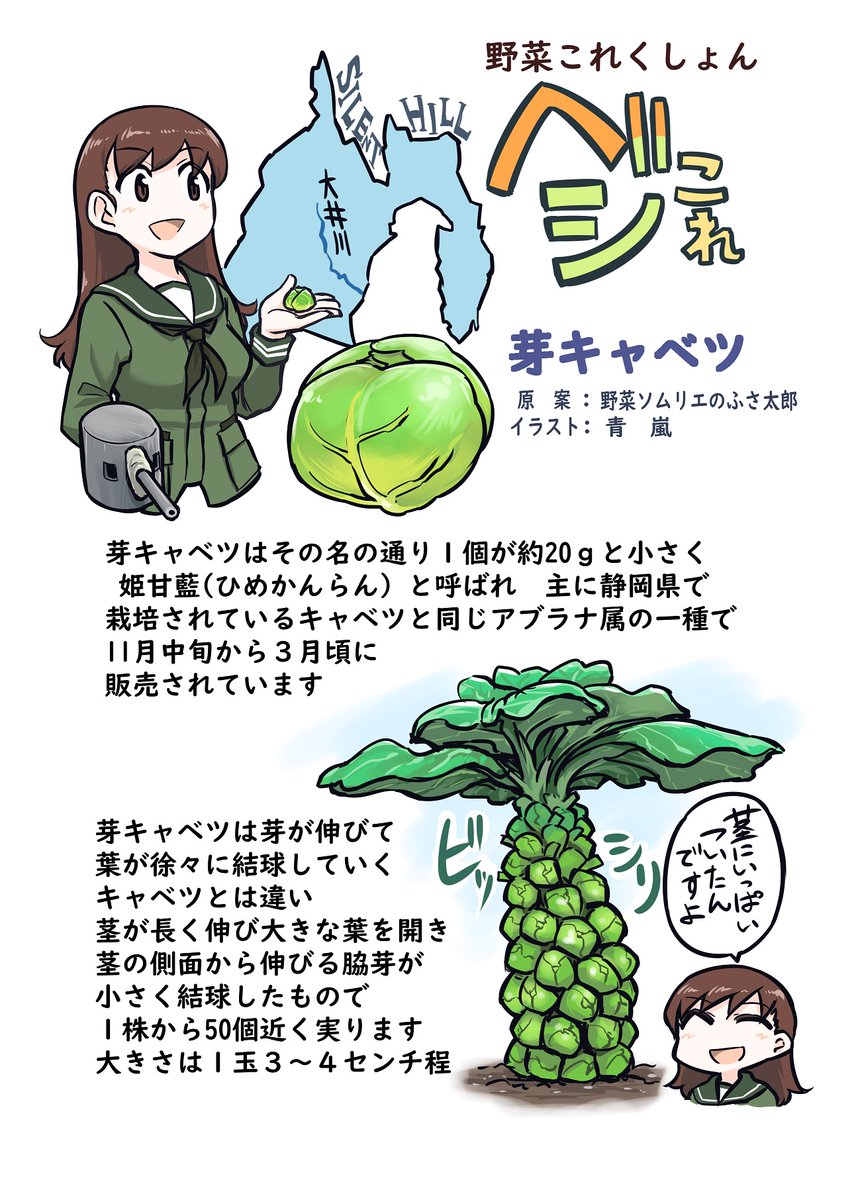 野菜これくしょん ベジこれ 第2弾 芽キャベツ編 1/2
今回も野菜ソムリエのふさ太郎さん @yukimifusaとの
合作でお送りいたします。 