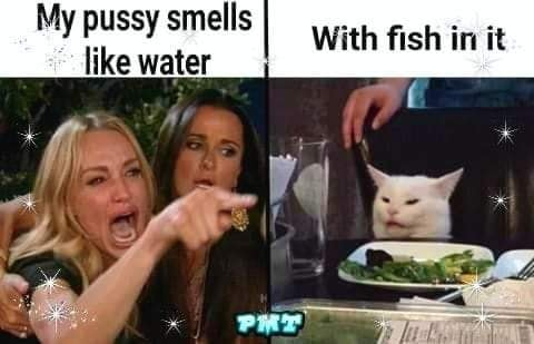 or_nah___'s tweet photo. this cat serious https://t.co/OqiDwMLlU0