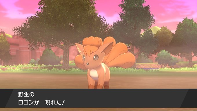 ロコン の評価や評判 感想など みんなの反応を1時間ごとにまとめて紹介 ついラン ロコン の評価や評判 感想など みんなの反応を1時間ごとにまとめて紹介 ついラン