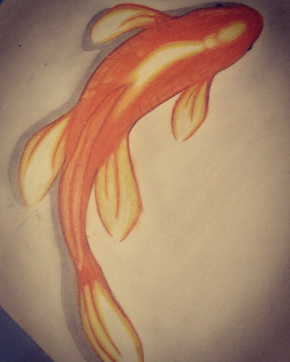 Encontré este dibujo que hice hace mucho tiempo. Instagram: @carlos2025_art  #draw #dibujo #lapiz #pez #fish #drawing #prismacolor #color #dibujoalapiz, image size:960x1200