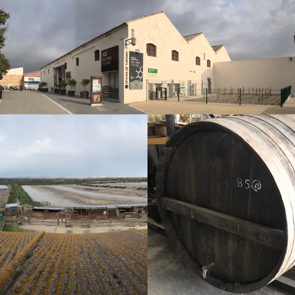 monterogrove's tweet photo. Quiero agradecer a Salinas de Chiclana, Cooperativa de Vinos, @AragonBodega @Pr_Collantes y @bodegas_velez el increíble trato recibido en mi visita a ese paraíso natural y, en especial, a mi admirada Mila Bulpe, de @ayto_chiclana y #DestinoChiclana 

¡Nos vemos en #Sevilla! https://t.co/1IqeixuwKT