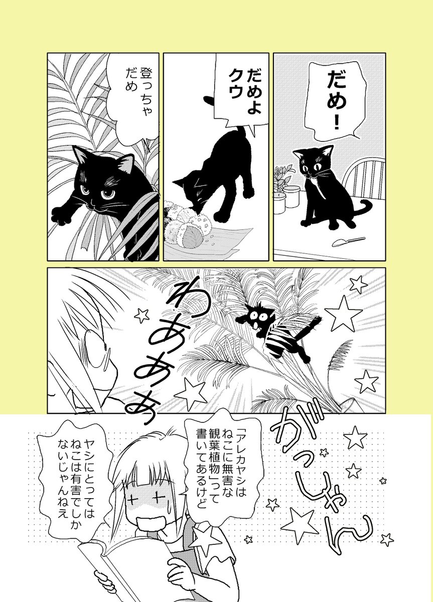 【ねこはねこかぶり】第二話
60手前でねこを飼う② (1/2)

はじめての子ネコのしつけ、描きました。
 #ねこはねこかぶり #黒猫クウ 