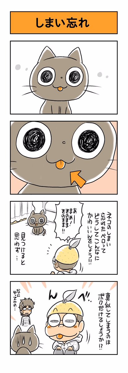 なんだか魅力的なタグだったので。
黒猫のくろまめ(通称まめ)です。

#全日本舌しまい忘れ協会 