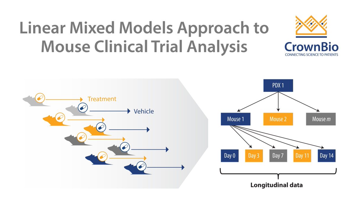crownbioscience's tweet image. Explore the current methods of mouse #clinicaltrial analysis, and how these are improved by using a #linearmixedmodels approach buff.ly/2uESRya