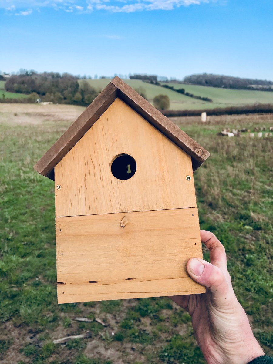 🐧Sun March 1st we will be guiding children to turn bird boxes into bird houses fixed to our lovely rustic wooden posts with accompanying bird seed balls to install in a row in our meadow. It will be a lovely greeting to all our visitors that in a way says “ Nature lives here!”