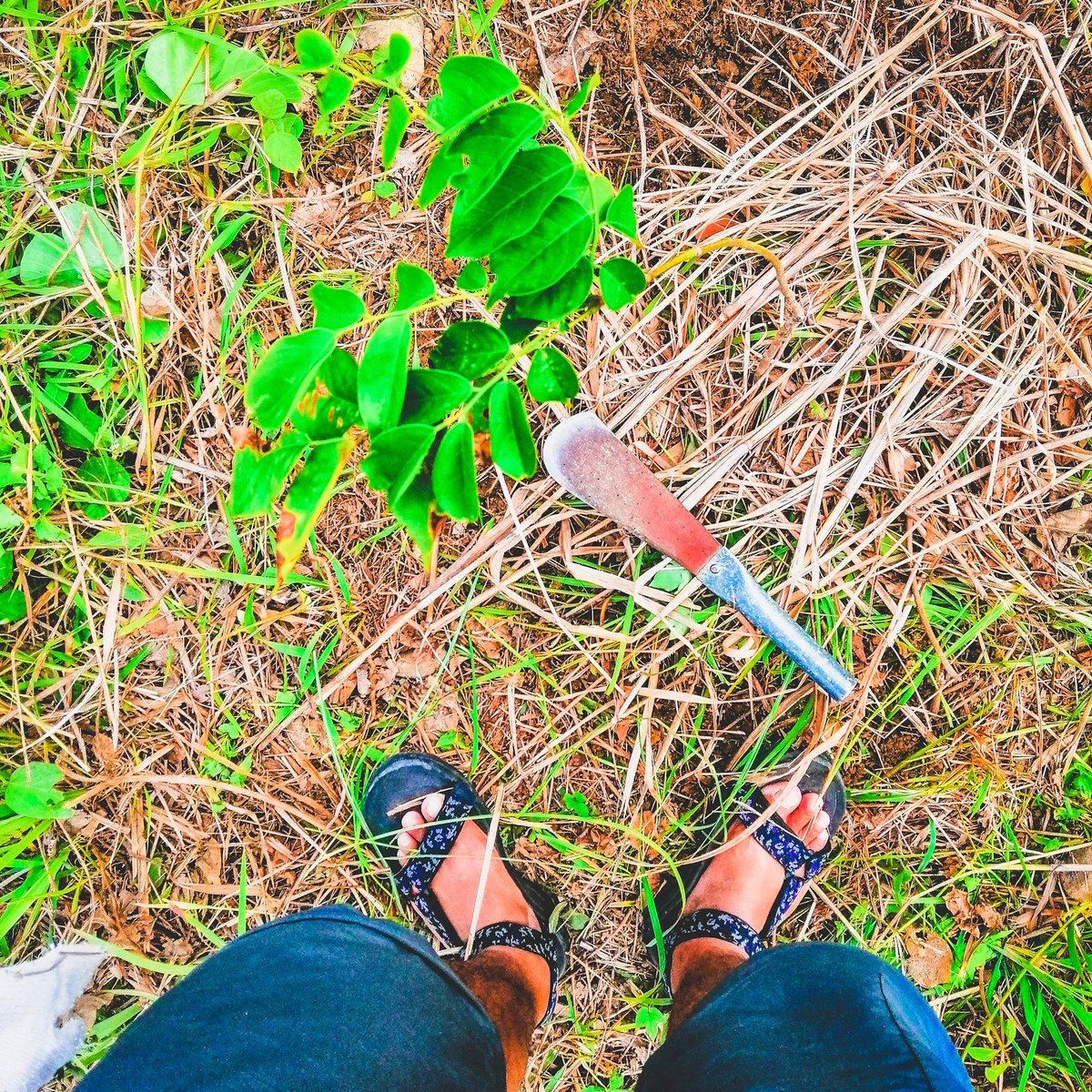 ferdzdecena's tweet photo. Awesome to welcome back @Teva in the Philippines with a meaningful hike and tree nurturing at @MasungiGeo.
Available at Toby's Sports nationwide.
#TevaxMasungi
#StrapIntoFreedom
#IronwulfEnroute https://t.co/gBeBw8Bz6m