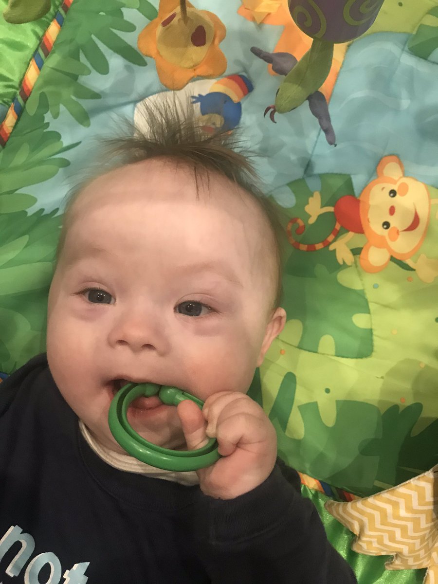 Touch Rugby Coventry (@coventrytouch) on Twitter photo When your 8month old son wakes up early for the <a href="/EnglandRugby/">England Rugby</a> v <a href="/Scotlandteam/">Scottish Rugby</a> sporting his <a href="/JoeMarler/">Joe Marler</a> hairstyle. Big push today boys 🌹🌹 #engvsco #englandrugby #myboy #marlersmop #DS #woulntchangeathing #T21 When your 8month old son wakes up early for the <a href="/EnglandRugby/">England Rugby</a> v <a href="/Scotlandteam/">Scottish Rugby</a> sporting his <a href="/JoeMarler/">Joe Marler</a> hairstyle. Big push today boys 🌹🌹 #engvsco #englandrugby #myboy #marlersmop #DS #woulntchangeathing #T21