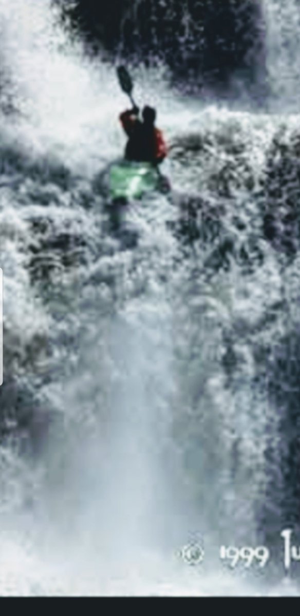 abbott_rush's tweet image. 