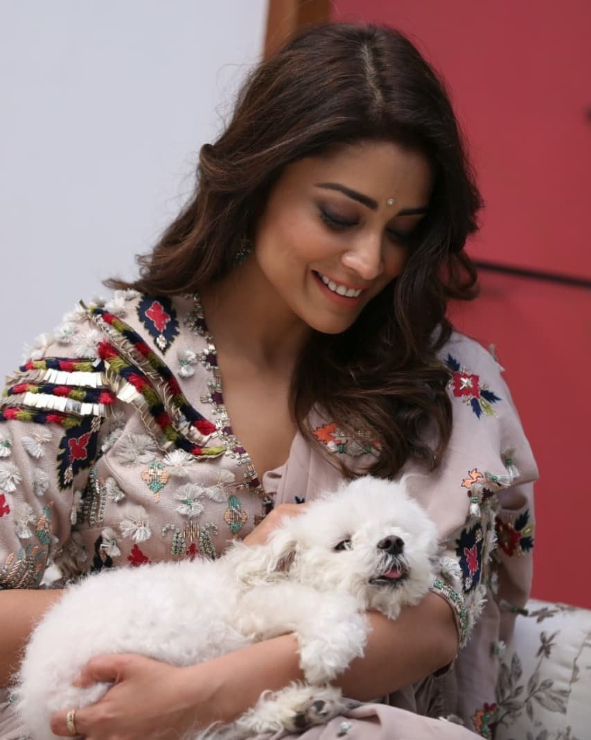 palgudi_preview's tweet photo. #ShriyaSaran Latest Clicks https://t.co/R9jD2cRxkJ