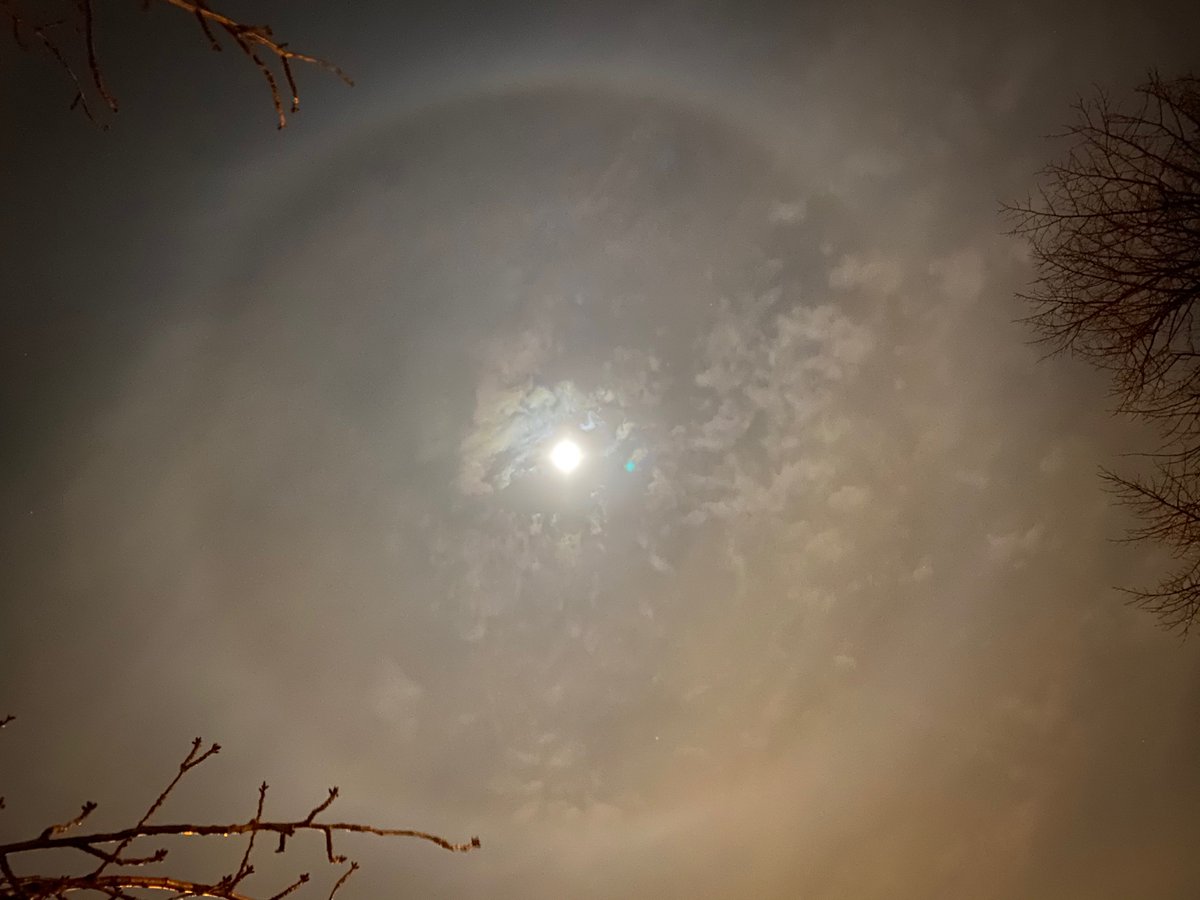 Vannacht een halo om de maan, een voorbode van weersverslechtering #halo #maan #ijskristallen #stormopkomst #weersverandering <a href="/helgavanleur/">Helga van Leur ☀</a> <a href="/GerritHiemstra/">Gerrit Hiemstra</a>
