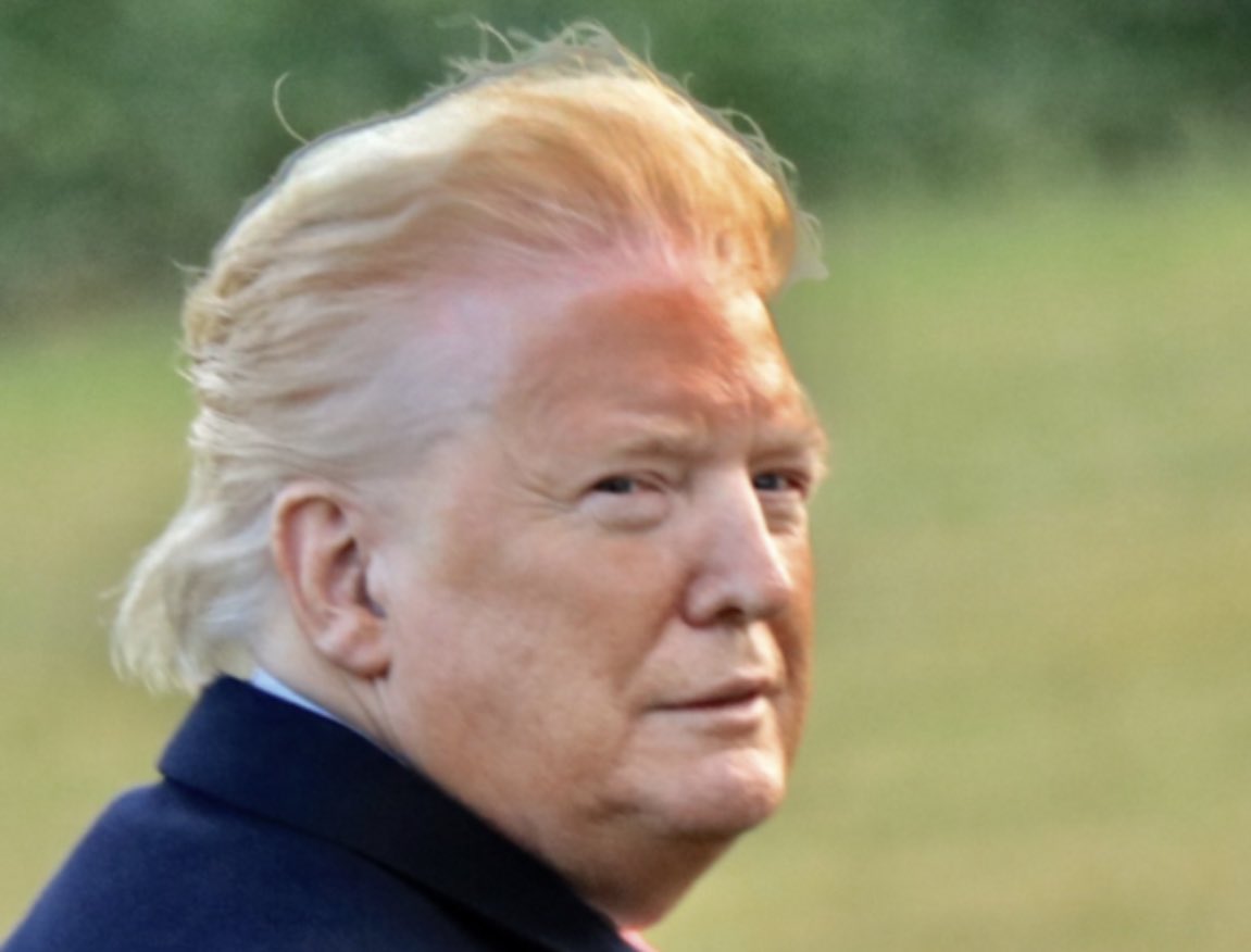 bradleywhitford's tweet photo. This guy became leader of the free world by mocking the physical appearance of others. https://t.co/vEA7a0AmLB