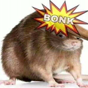 RoT_Marc's tweet photo. @qdcmk16 https://t.co/8IVST3tdFm