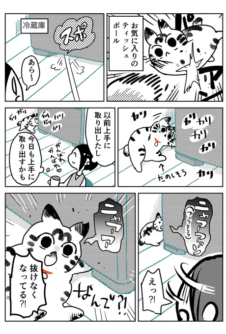 猫飼いました71 
