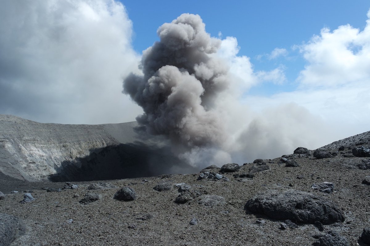 Geoff Lerner tweet media