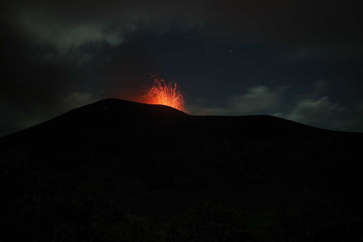 Geoff Lerner tweet media