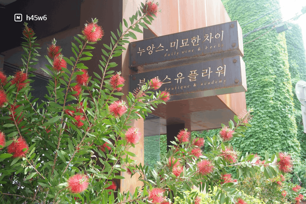 Startrip_korea's tweet photo. #동방신기 #유노윤호 가 방문한 플라워 카페 겸 와인바입니다😆 아침에는 플라워카페, 저녁에는 와인바로 운영되는 #누앙스미묘한차이 예요😙 꽃을 좋아하신다면 가보시는 걸 추천드려요💕
#TVXQ #윤호투어 #카시오페아투어 #캉투어 #덕질투어 #덕후투어 #셀핀 #celpin #셀핀으로_덕질할래 https://t.co/fI0uWG0wzp