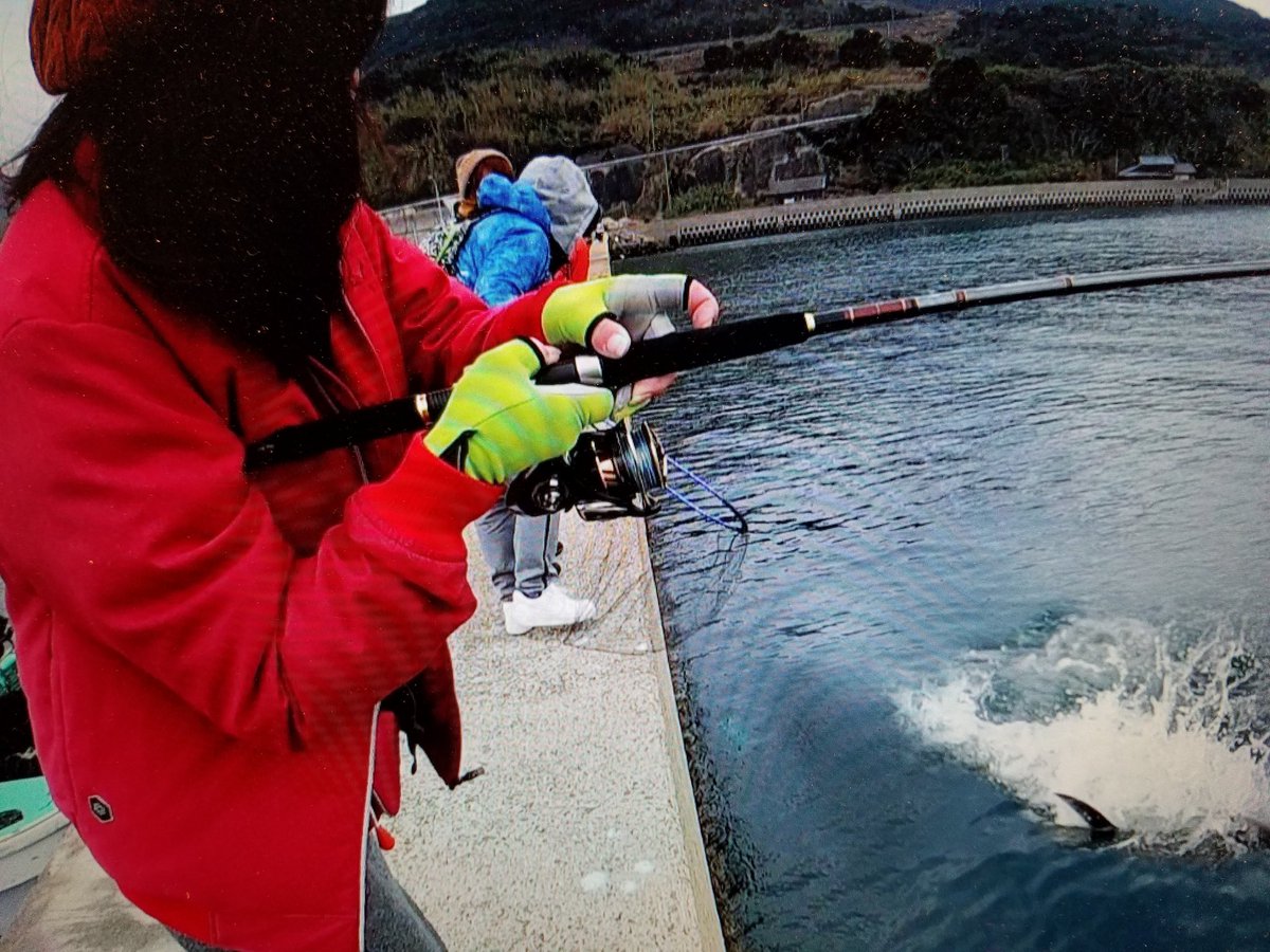 釣り スギ 四平 堤防