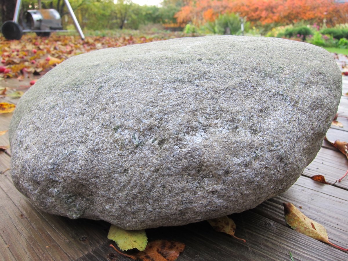 A bigger boulder of  #GlacialErratics with amphibolites (tremolite + actinolite?)Found in: Sörböle, Umeå (moraine)Probably from: good question.Notes: this is one-of-a-kind boulder.
