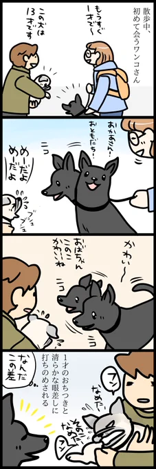 犬にも個体差があります(自分に言い聞かせる) 