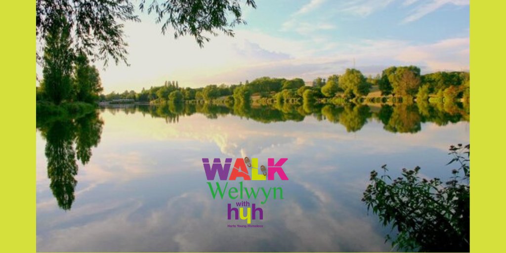 herts young homeless tweet media