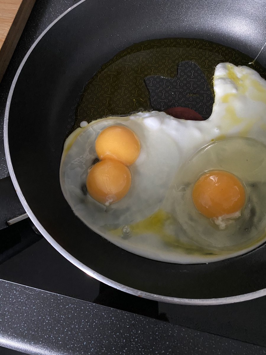 thomopt's tweet image. 