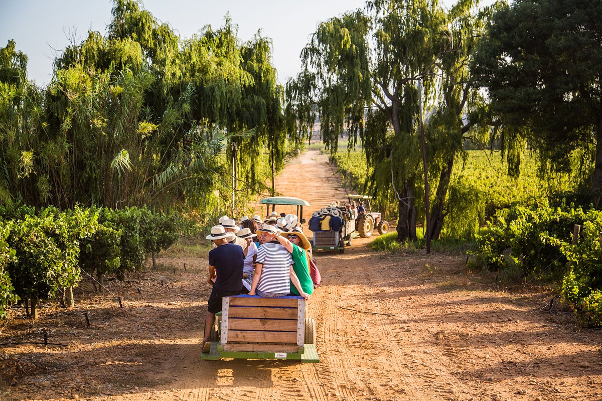 And the count down to our annual #Harvest2020 Festival has begun... looking forward to picking grapes while
exploring the vineyards around our historic manor house in 4 hours!!! #Nederburg