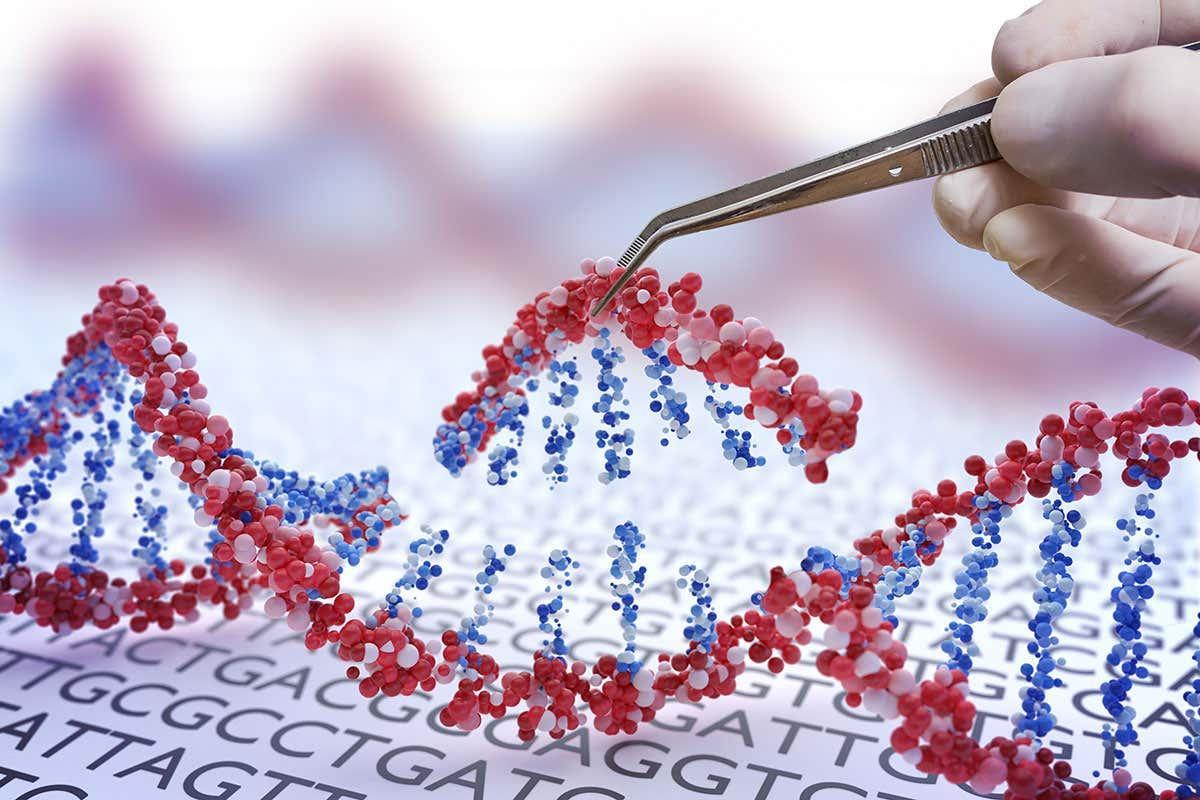 newscientist's tweet photo. CRISPR cancer trial finds that gene-edited immune cells are safe https://t.co/rv1MwkBGwJ https://t.co/01lU66v6Hw
