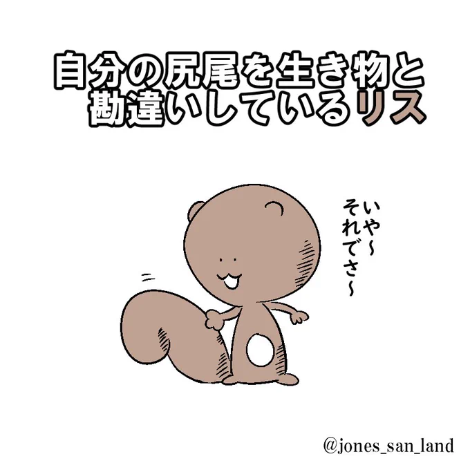 本日の生存報告です!!#毎日リス#芸術同盟 