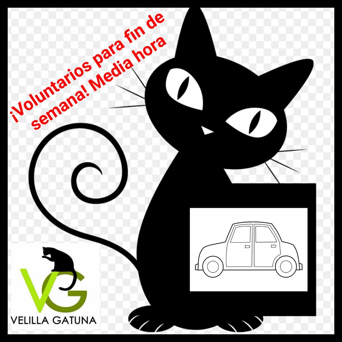 Los gatitos velilleros necesitan voluntarios para los fines de semana con media hora libre al día y coche. Si te apetece echarles una patita, ponte en contacto con velillagatuna@gmail.com y estaremos encantadas de contarte cómo hacerlo.Ellos te lo agradecerán.
¡Animaos!