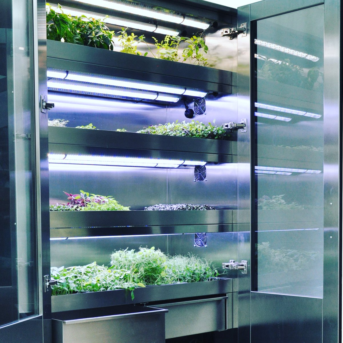 Hmmm, what to cook today? The #bloomkubes #grow is looking #pukka - Take your pick, whenever you like from your favourite #micros growing on site in your restaurant! #urbanfarming #microgreens🌱 #bloomkubes Opening doors to #freshmicros #liveplants #livecress #yourcress