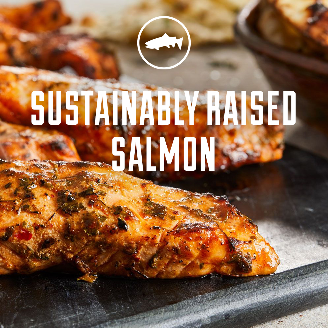 Choolaahyum's tweet image. A lunch that’s worth fighting your way upstream for.
.
#choolaah #eatinggood