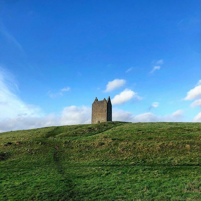 Somersalt tweet media