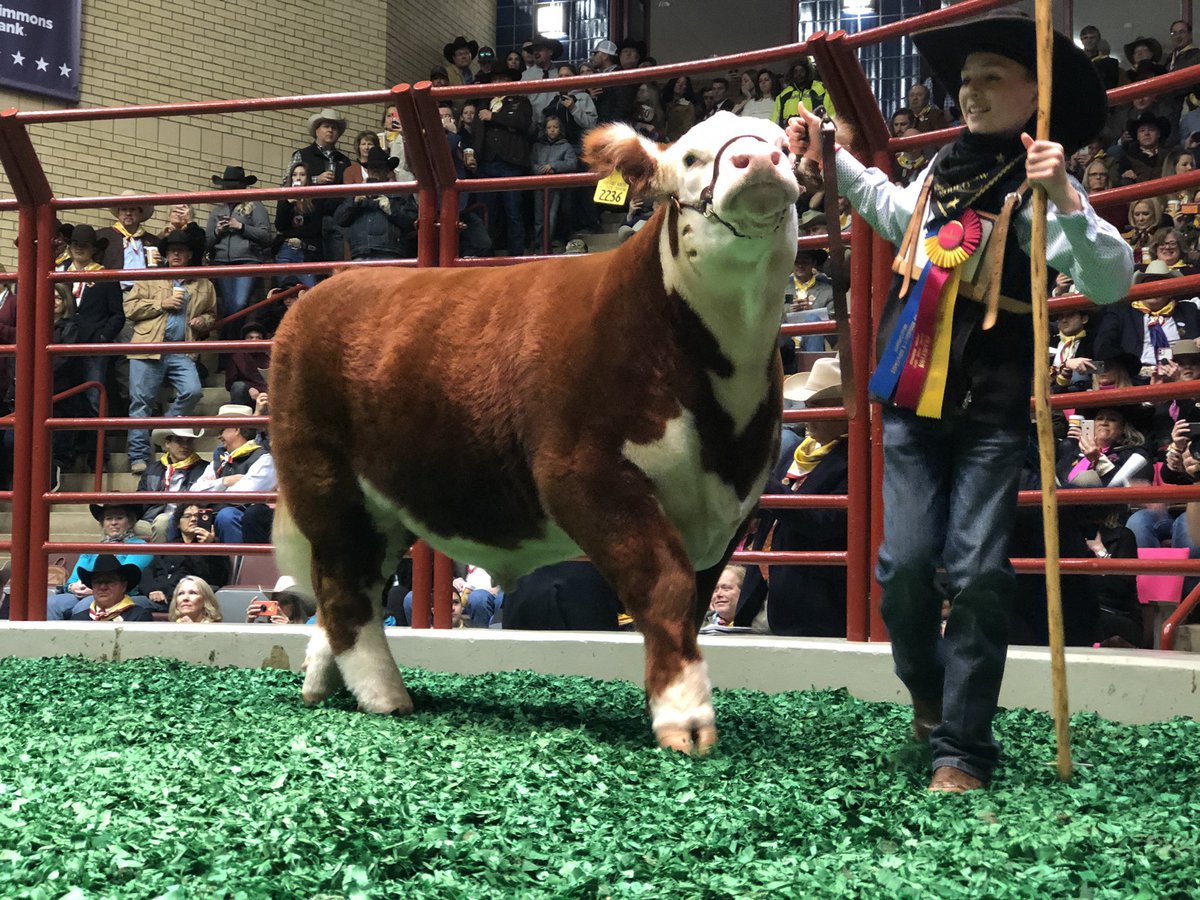 It’s a record! $300,000 for the Grand Champion! The first Hereford champion since 1982 smashes the old record by $40,000!