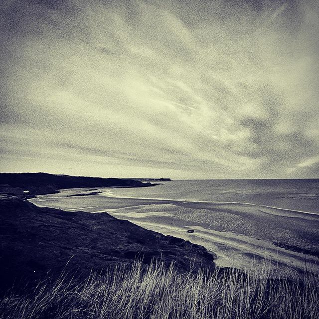 NikPickard's tweet photo. #caytonbay https://t.co/elKTpVSyh7 https://t.co/pit4R3rFu1