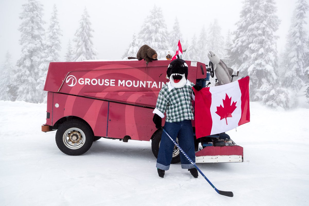 Fin On Twitter Happy Hockeyday In Canada Hockey Stick