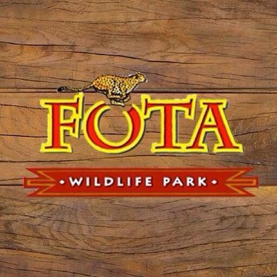 CorkSafetyAlert's tweet photo. @FotaWildlife has announced that the park will remain closed on Sunday, 9th February due to the winds forecast with #StormCiara. https://t.co/RyD6MIB7jj