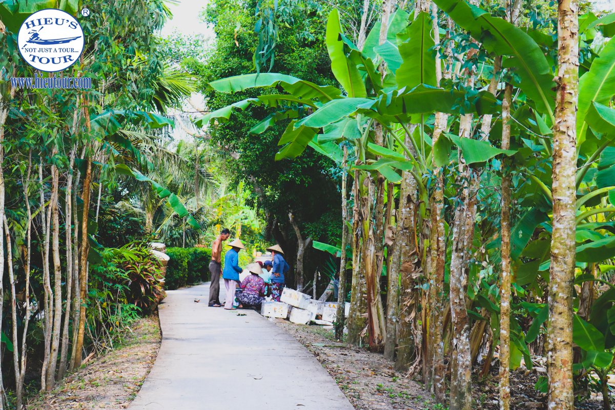 hieutour's tweet photo. In these rustic villages, you can completely experience the lifestyles, culture, and cuisine of the locals, tucked away in private and tranquil surroundings, these villages are set in lovely verdant areas and hidden among the graceful landscapes of Mekong Delta. #hieutour #travel https://t.co/WpNO6TaUYR