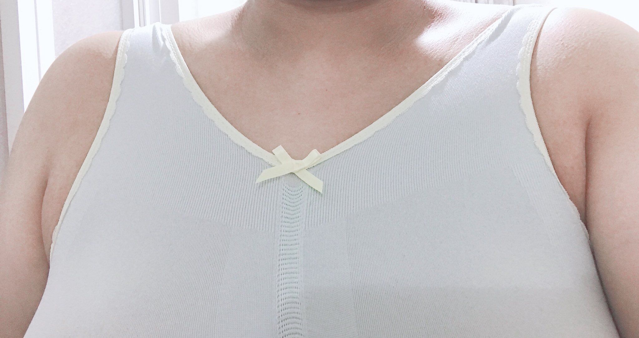 でぶ貧乳 
