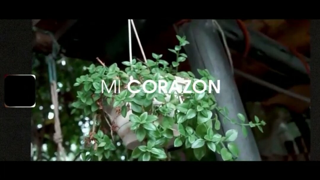 Abbeymickey_'s tweet photo. DROPPING THIS MONDAY #MI_CORAZON BY @Abbeymickey_ dont be late, SUBSCRIBE and turn on post NOTIFICATIONS. God bless youâ https://t.co/U1Bq3IslHW