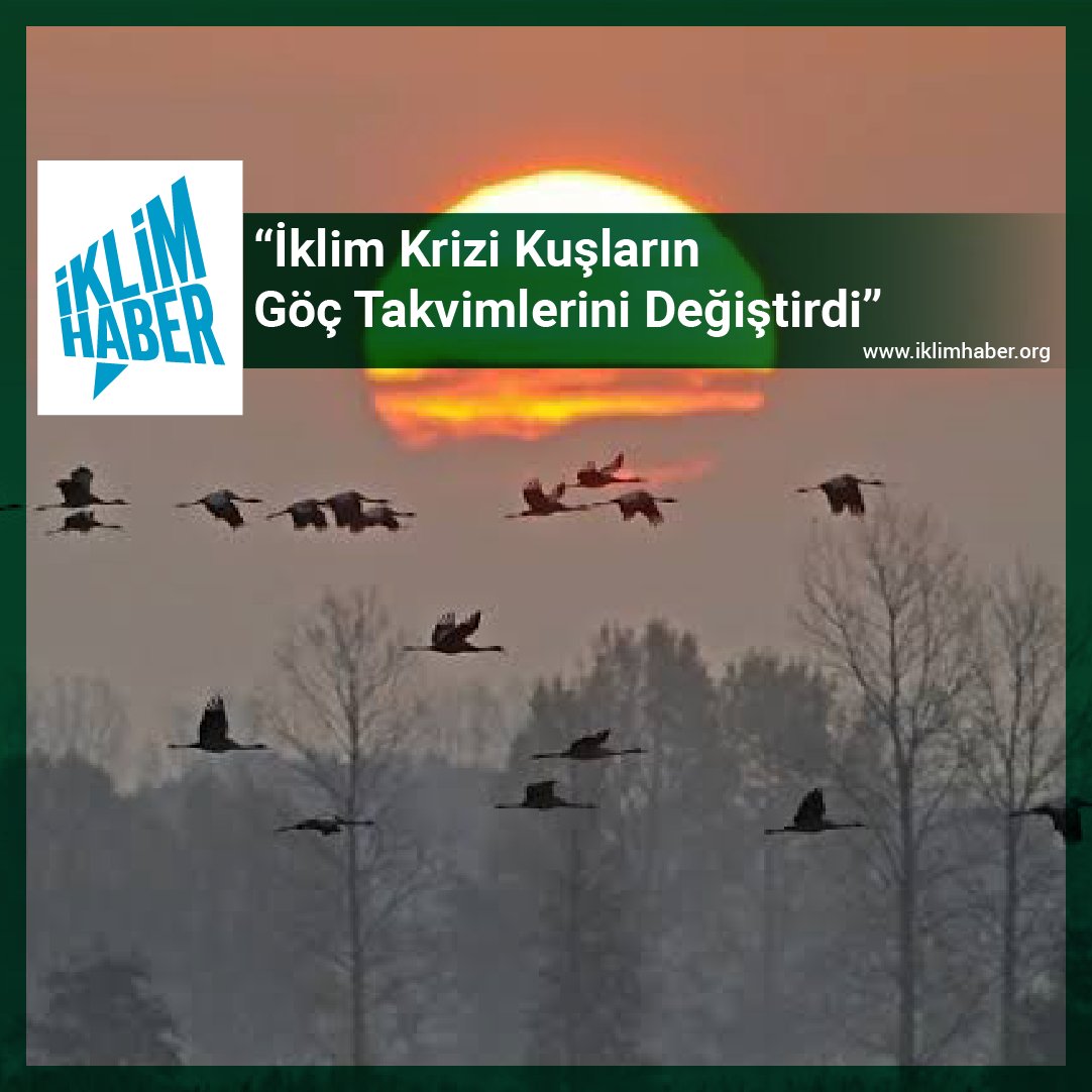 “İklim Krizi Kuşların Göç Takvimlerini Değiştirdi”

iklimhaber.org/iklim-krizi-ku…