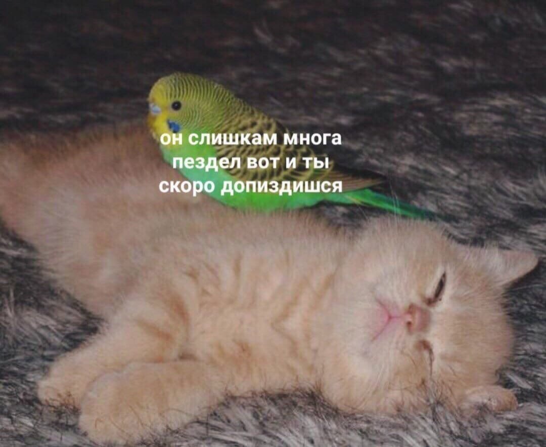 sugascuteboy's tweet photo. Эх https://t.co/v1LLeF3R2n