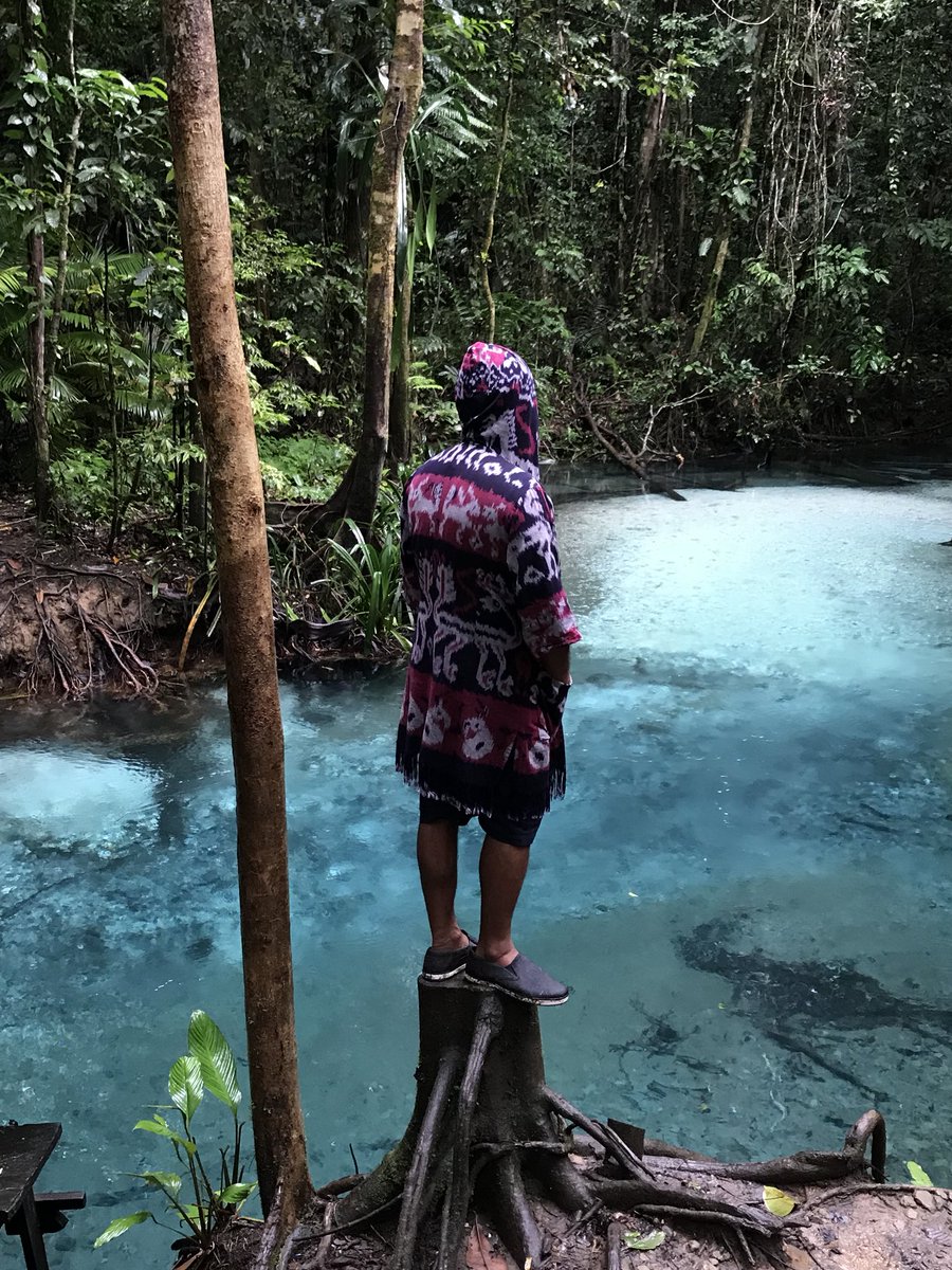 Join and enjoy your Holiday in the Raja Ampat Dec-May  the best season