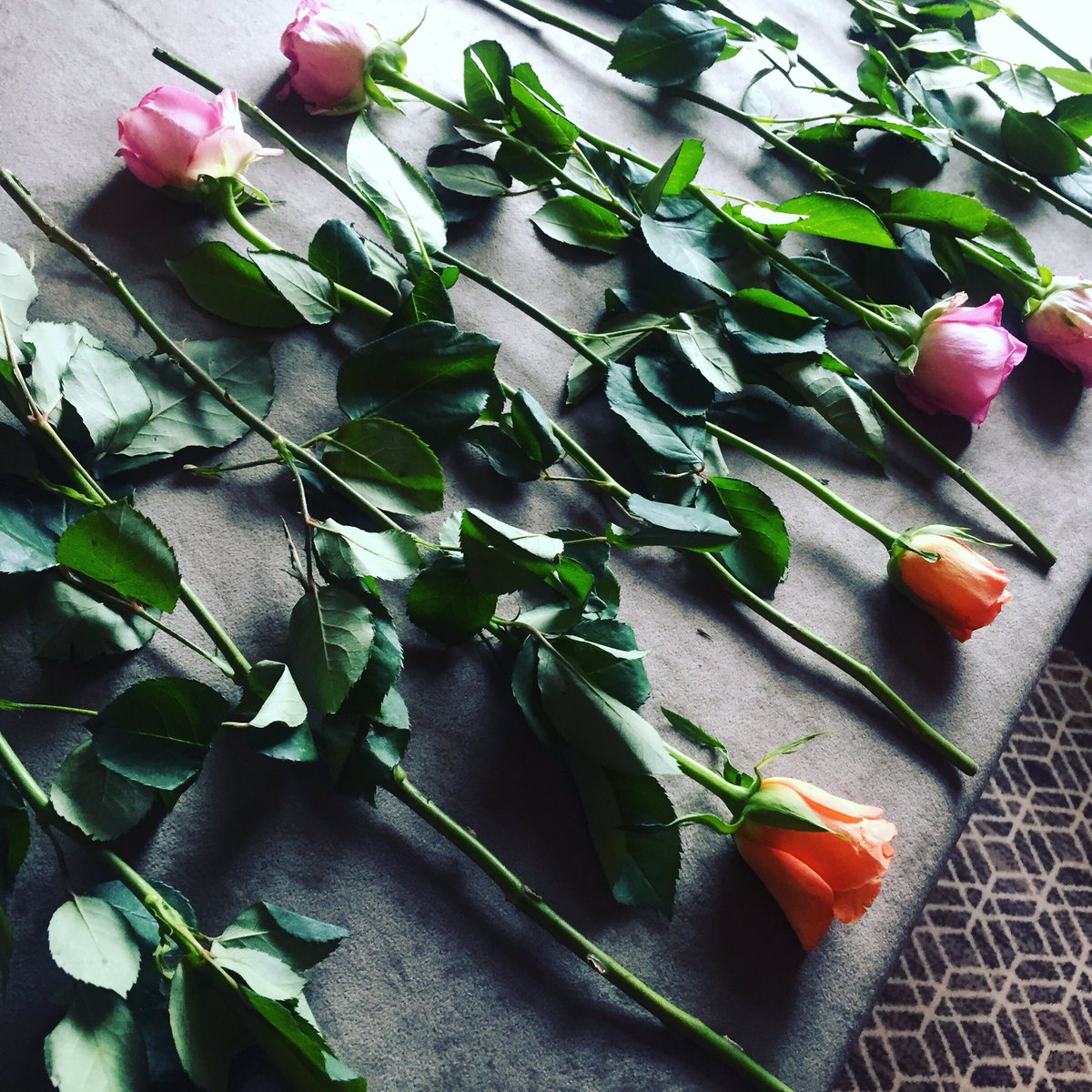 Reflection on a flower exercise with @JackeeHolder at #happenista retreat with @JenniferGarrett  #flowers #nature #roses #thorns