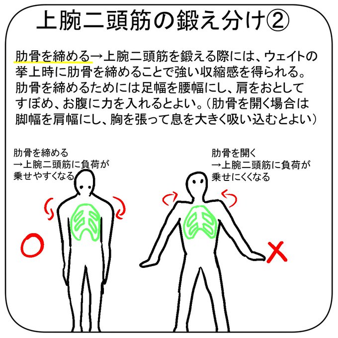 上腕二頭筋のtwitterイラスト検索結果 上腕二頭筋のtwitterイラスト検索結果
