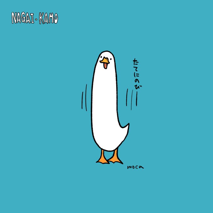 たてにのびーー

#ナガイカモ #longducks #長鴨子 