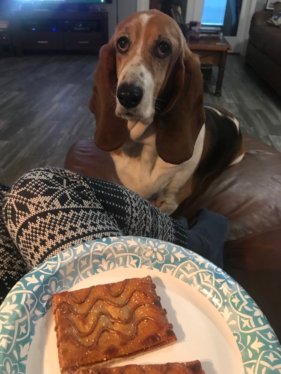 ⁦<a href="/PopTartsUS/">Pop-Tarts</a>⁩ Sydney thinks your new pretzel poptarts look pretty darn good!