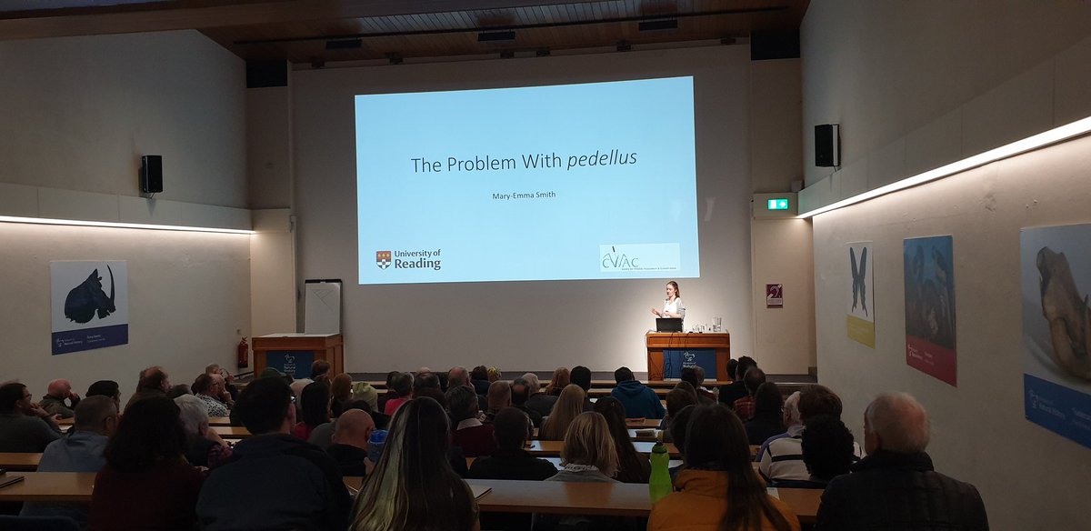 Amo Spooner tweet media