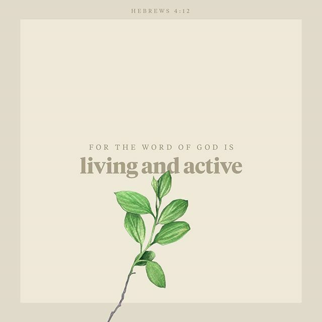 beadneedsfl's tweet image. 🙏🏽📖♥️ B.I.B.L.E. BASIC INSTRUCTIONS BEFORE LEAVING EARTH 🌍 🙏🏽♥️📖It’s a great book! It refreshes and helps you see the world differently! We all need it more than ever before in order to prepare ourselves for the day when Jesus comes for us! 🙏🏽♥️📖 ift.tt/378n3PU