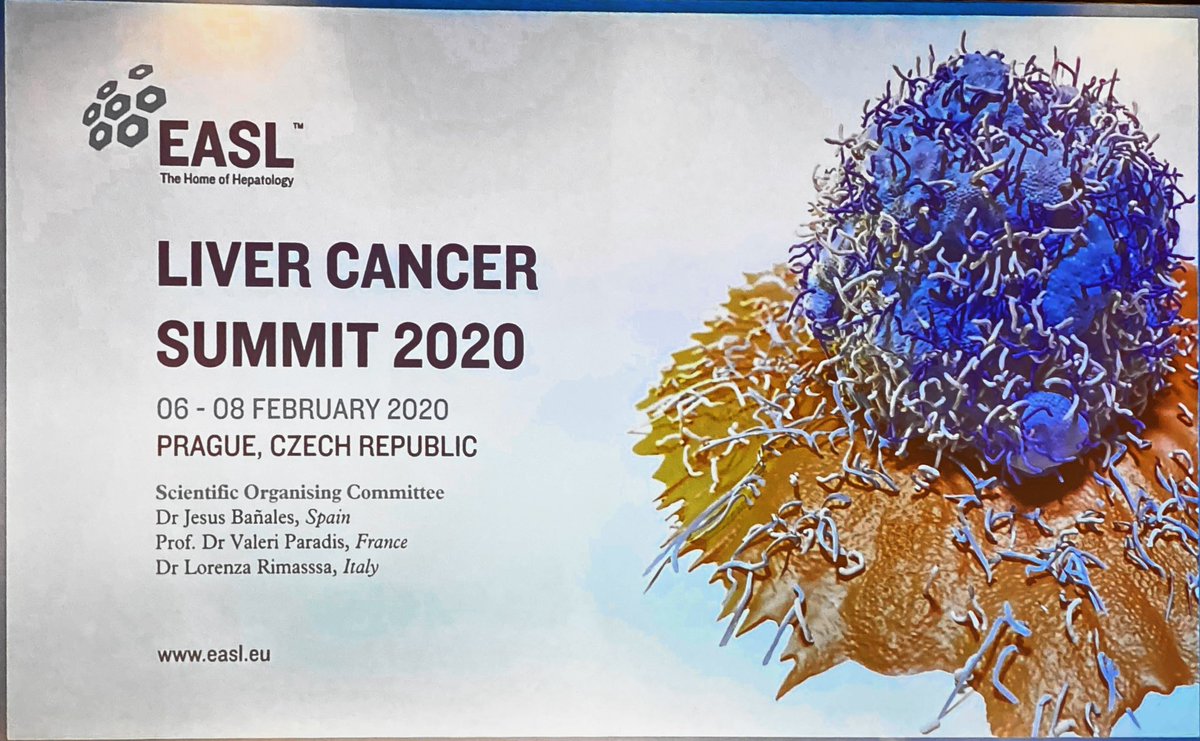 Thanks to the organizers, the faculty, <a href="/EASLnews/">EASLnews</a> and all delegates for makin this an outstanding #livercancersummit 2020! What a great, interactive, high quality meeting! See you at #ILC <a href="/ILCpress/">ILC</a>